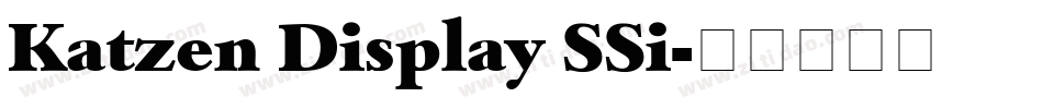 Katzen Display SSi字体转换